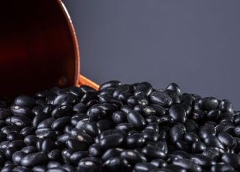 Mercado do feijão segue estável