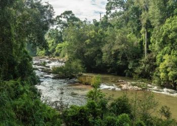 Como Investir em Meio Ambiente na Bolsa de Valores: Guia Prático