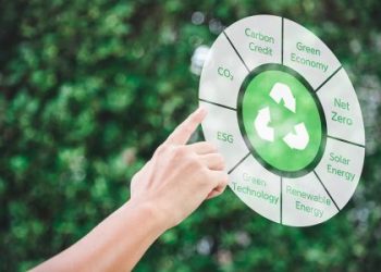 Litigância climática e o mercado voluntário de carbono no Brasil