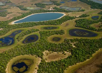 Ministério abre seleção para projetos sustentáveis no Pantanal e outros biomas
