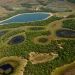 Ministério abre seleção para projetos sustentáveis no Pantanal e outros biomas