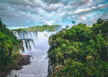 Mercado de crédito de carbono acelera no Brasil