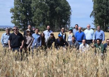 TCU visita Embrapa Cerrados e reforça o papel estratégico da ciência na formulação de políticas públicas
