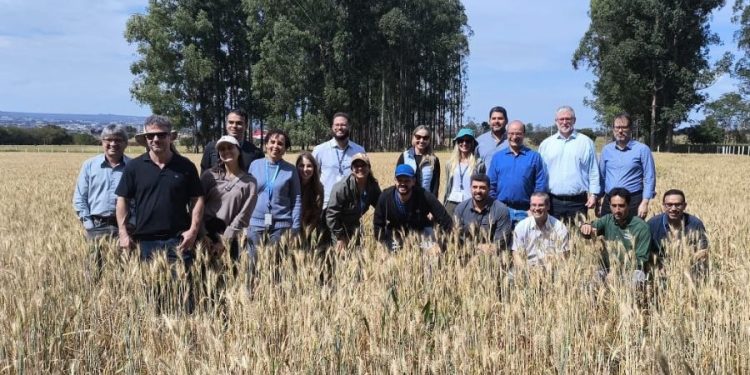 TCU visita Embrapa Cerrados e reforça o papel estratégico da ciência na formulação de políticas públicas
