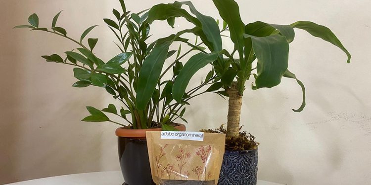 Fertilizante sustentável da Embrapa mira consumidor urbano com plantas em casa