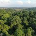 Amazônia ganha centro para apoiar a recuperação de áreas desmatadas e degradadas