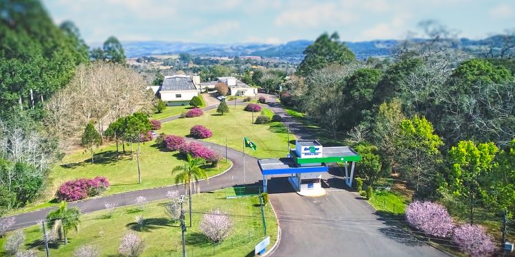 Embrapa Suínos e Aves comemora 50 anos de contribuições à agropecuária brasileira