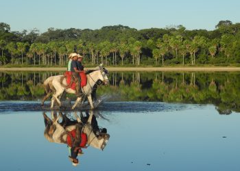 Embrapa e parceiros promovem evento pré-COP sobre os desafios climáticos do Pantanal