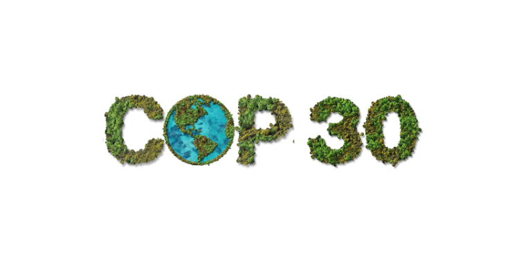 Movimentos sociais preparam mobilização para COP30