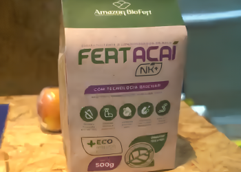 Biochar de açaí’ nutre o solo, reduz custos e aumenta a produtividade no campo