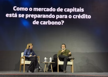 Mercado de capitais se mobiliza para transformar créditos de carbono em ativos financeiros regulados