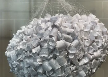 Semana do Meio Ambiente: Viva Maria discute a poluição plástica global