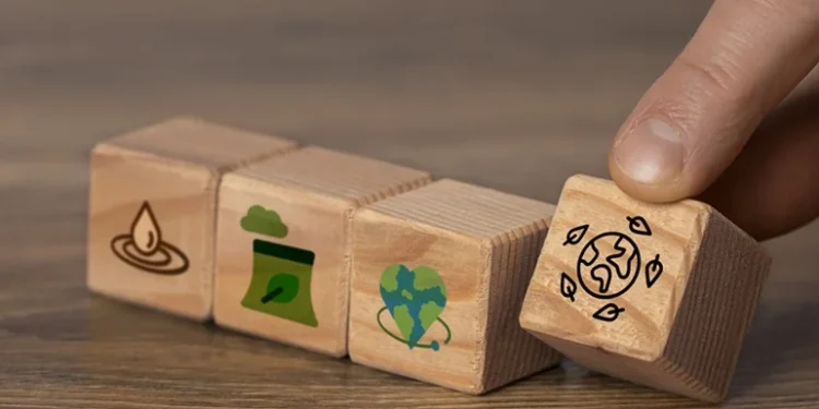 Como o mercado de capitais está se preparando para o crédito de carbono?