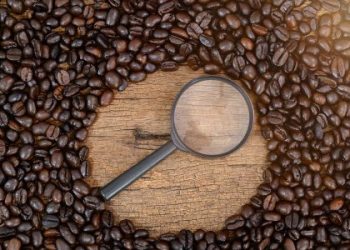Europa consome aproximadamente 150 mil sacas de café por dia