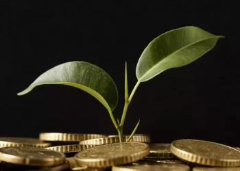 Créditos de carbono poderão quitar impostos no agronegócio