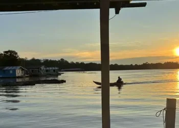 Amazônia vive incoerência entre fertilizantes e preservação