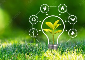 Embrapa leva inovação e sustentabilidade à Expoacre 2025, com foco na COP30