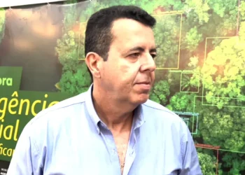 IA desenvolvida pela Embrapa revoluciona mapeamento de florestas na Amazônia