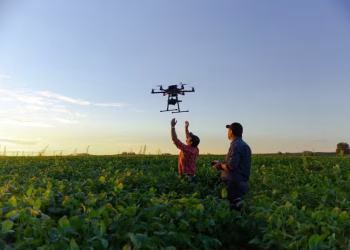 ADM avança em sustentabilidade na cadeia de grãos com mapeamento de 100% dos fornecedores de soja no Brasil
