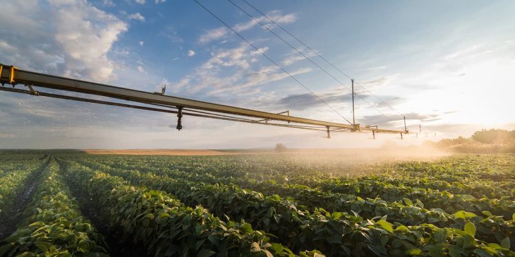 COP30: Agricultura regenerativa pode gerar crédito de carbono