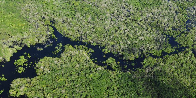 Sandbox regulatório e COP30: país está pronto para testar futuro da descarbonização?