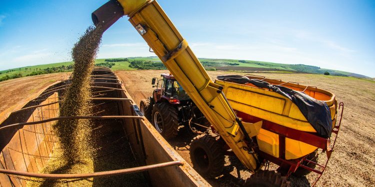 Congresso Brasileiro de Soja promove debates sobre produção, pesquisa e mercado de soja