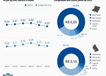 Custos de produção de suínos e de frangos de corte caem pelo segundo mês consecutivo