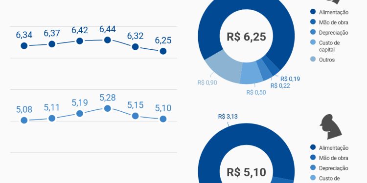 Custos de produção de suínos e de frangos de corte caem pelo segundo mês consecutivo