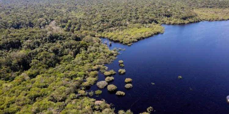 “PL da Devastação” pode ser aprovado esta semana na Câmara