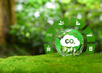 Regulamentação do mercado de carbono e efeitos jurídicos da classificação de seus ativos