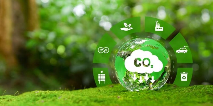 Regulamentação do mercado de carbono e efeitos jurídicos da classificação de seus ativos