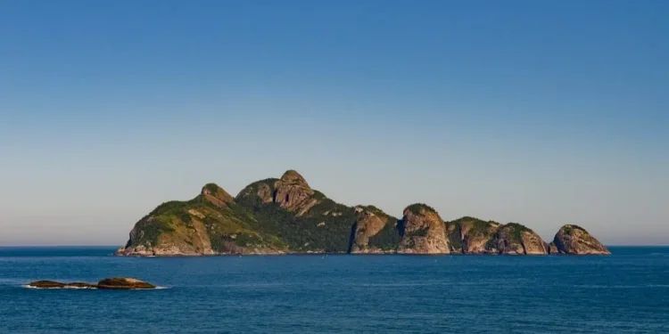 Prêmio SP Carbono Zero prorroga inscrições para reconhecer iniciativas sustentáveis