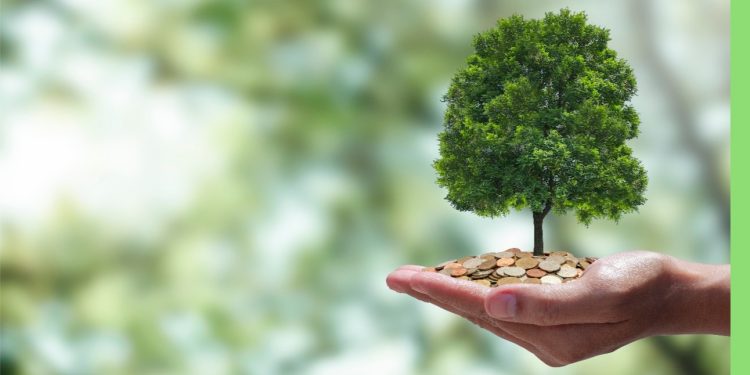 Mercado 60+: por que a longevidade é estratégia de negócio