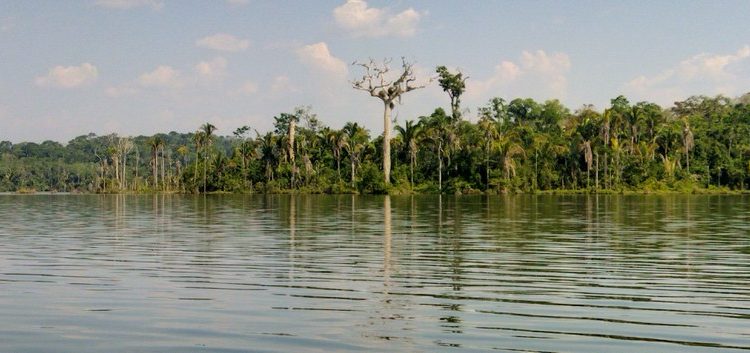 Mercado 60+: por que a longevidade é estratégia de negócio