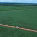 O papel estratégico do Brasil no mercado de carbono
