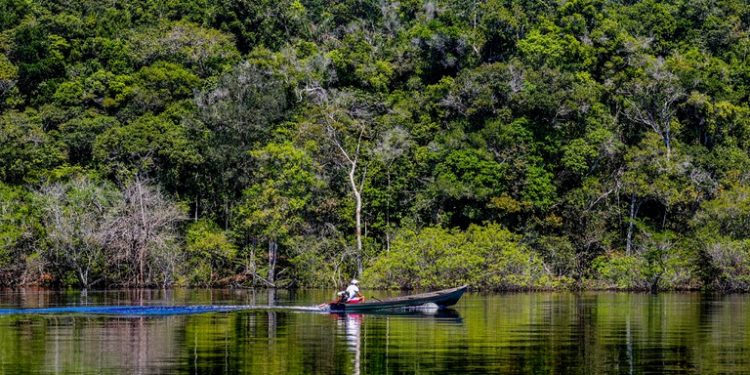 Parceria com a Casa da Moeda vai inaugurar certificação de créditos de carbono totalmente nacional