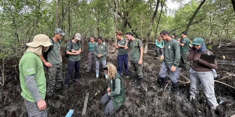 Mercado 60+: por que a longevidade é estratégia de negócio