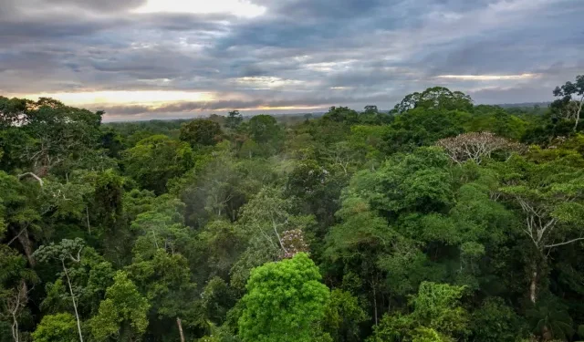 Da produtividade ao Meio Ambiente: IATF reduz pegada de carbono em até 49%