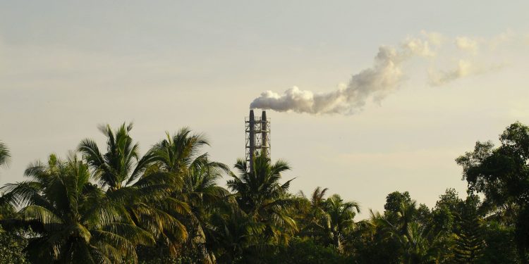 Projetos de crédito de carbono: direito à terra e territórios tradicionais no Brasil