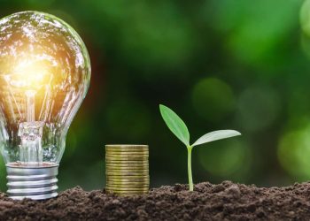 Setor privado lança aliança de soluções para COP30