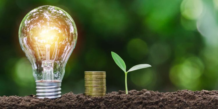 Setor privado lança aliança de soluções para COP30