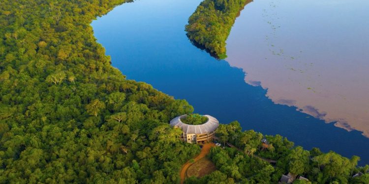 No Dia da Amazônia, Alero reforça compromisso com a preservação e o desenvolvimento sustentável