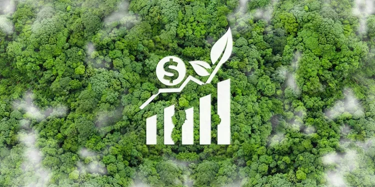 Brasil pode liderar exportação global de créditos de carbono, revela PwC