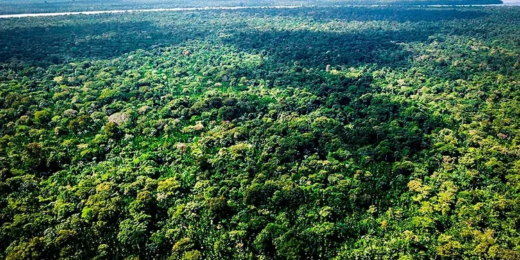 Boletim Focus: mercado financeiro baixa estimativa de inflação em 2025 e 2026