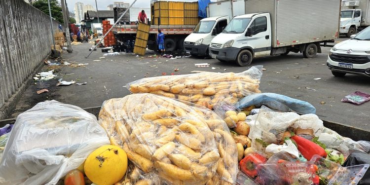 Embrapa e MDS unem esforços em estratégia para reduzir desperdício de alimentos