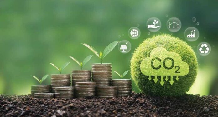 Plano Clima: entidade entrega sugestões e pressiona por remoções de carbono