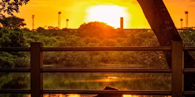 Arquitetos debatem soluções para diminuir mudanças climáticas