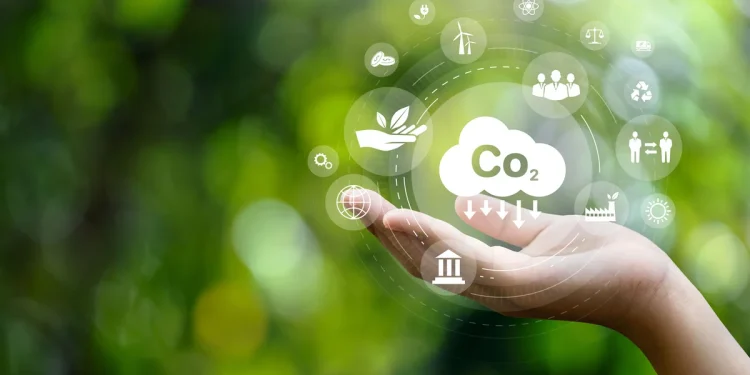 Em tempos de aquecimento global, neutralizar pegada de carbono deveria ser rotina individual