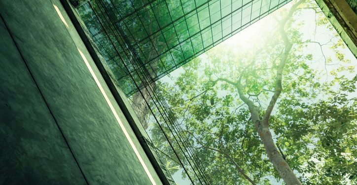 Taxonomia aprovada, regulação em vista e transição no centro do debate