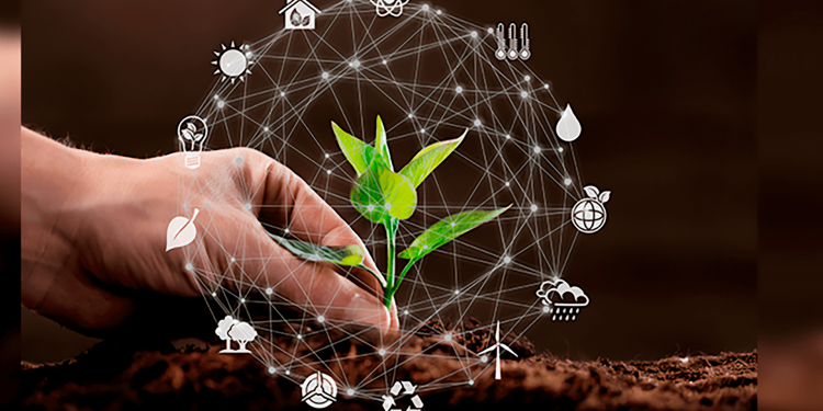 O potencial do carbono como nova receita para o produtor